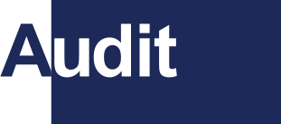 Audit Service Button